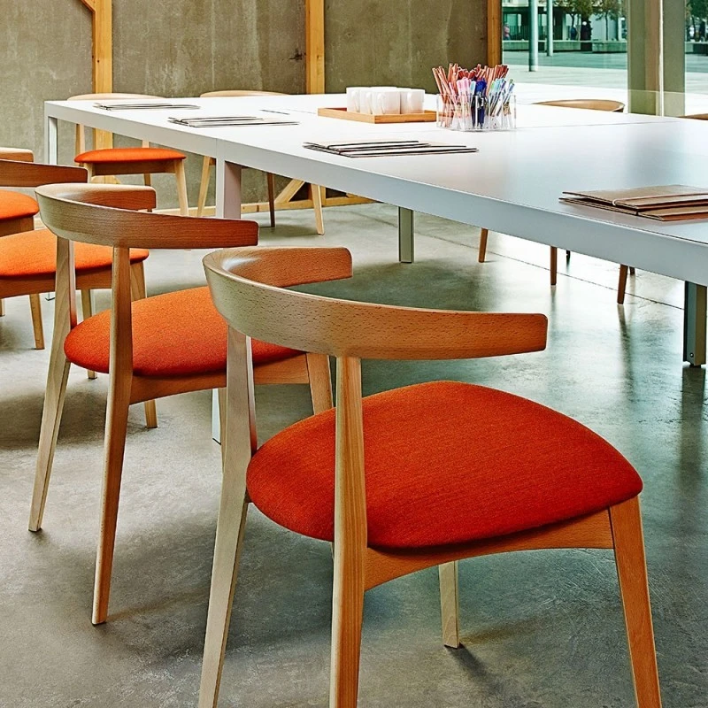 CAROLA - SILLA MADERA Y ASIENTO TAPIZADO 5 CAROLA - SILLA MADERA Y ASIENTO TAPIZADO - Imagen 3