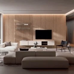 COMPOSICION DE SALON CON PANELADO DE PARED MUSS LR01